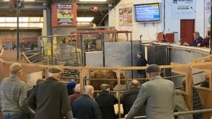 The latest Election campaign news from the Mayo constituency show image