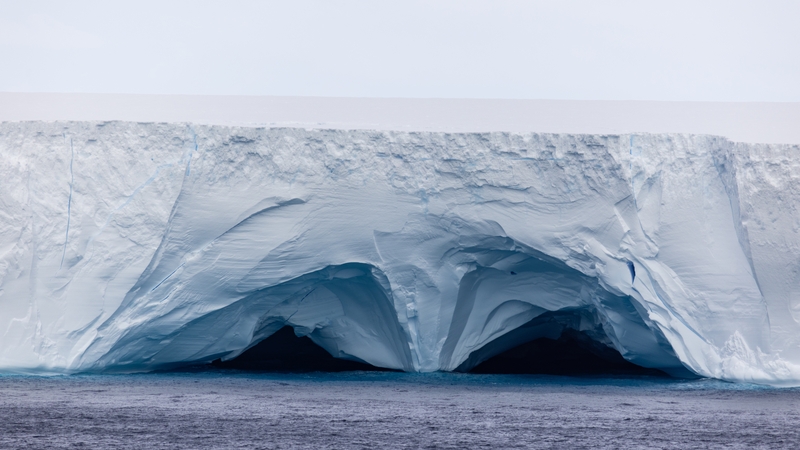 The colossal iceberg A23a iceberg has been drifting north from Antarctica towards South Georgia island since 2020