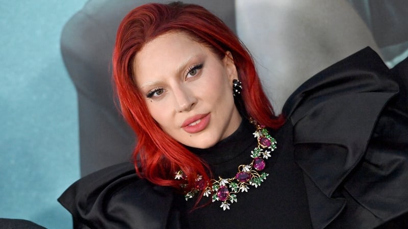 US entertainment trade publication The Hollywood Reporter says that details of Lady Gaga's role "are being kept quiet for now"