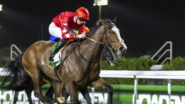 Spirit Dancer has won over €2.5m for his connections in 28 starts