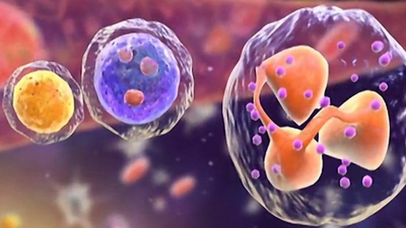 LIfT's alpha neutrophil cell therapy overcomes treatment resistance in solid tumours