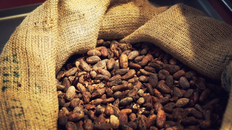 Cocoa nearly tripled in price over 2024, far outpacing gains in other commodities