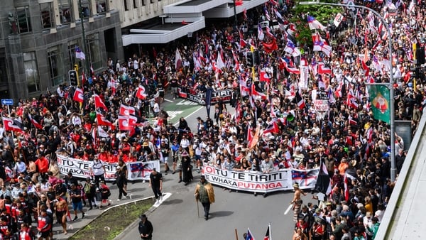 Massive crowds gathered at parliament where the Treaty Principles Bill was introduced earlier this month
