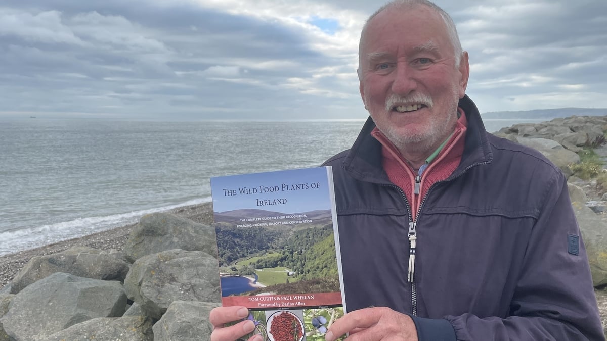 Custodians of Ireland Monday 30 December 2024