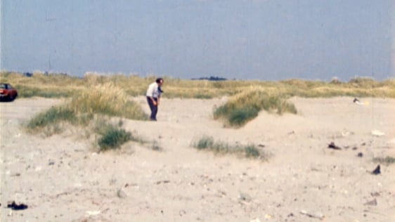 Martin Downes looking for animals on Dollymount Strand on North Bull Island in Dublin Bay, 1979.