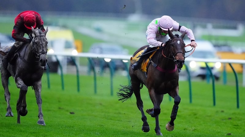 Royale Pagaille won the Haydock feature with a typically gutsy display