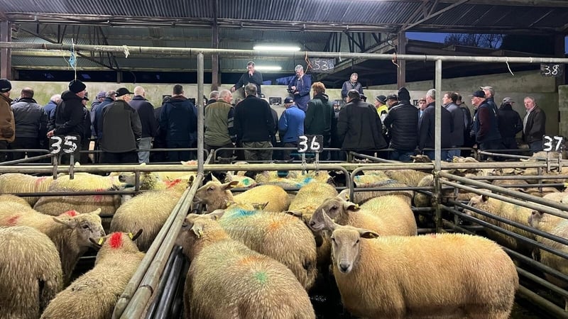 Farmers at Ballinasloe Mart in Co Galway shared their concerns ahead of polling day