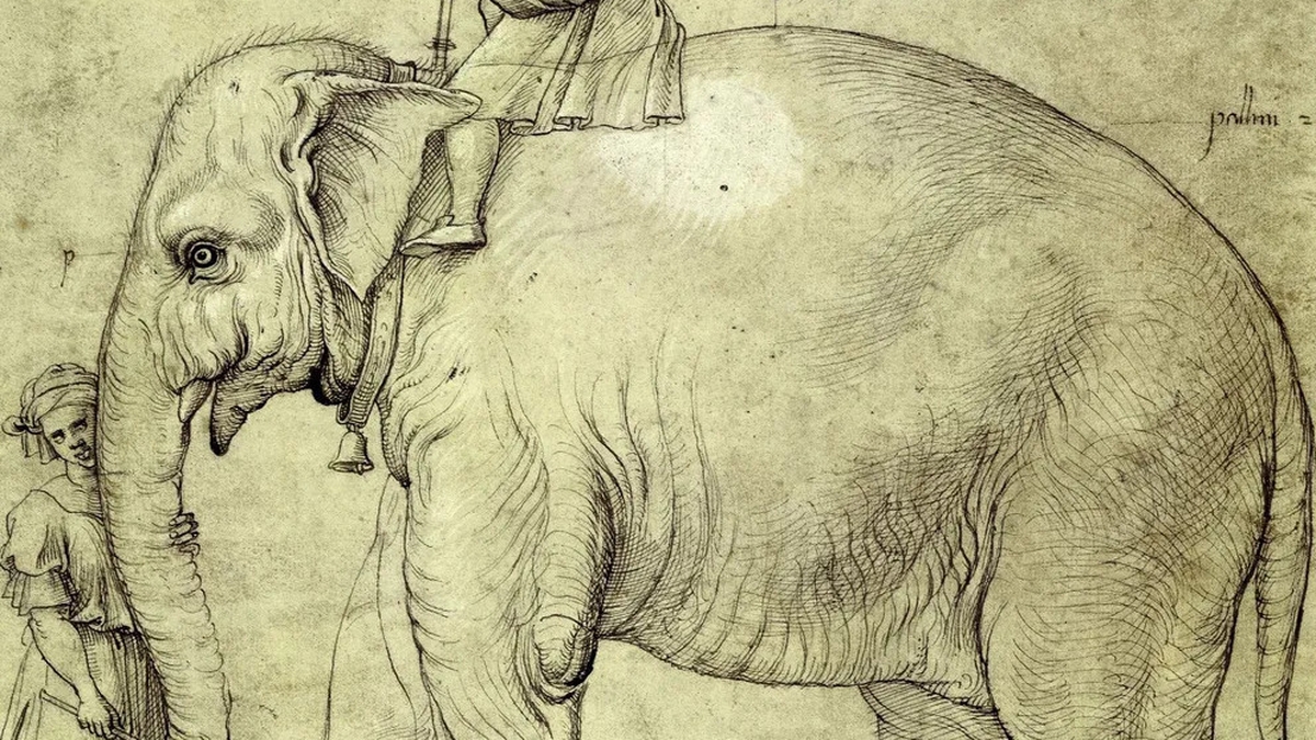 Pope Leo's Elephant