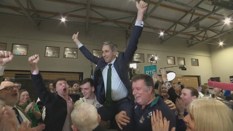 Fine Gael leader Simon Harris topped the poll in Wicklow