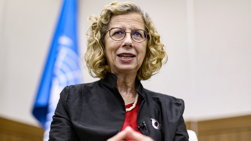 Inger Andersen said she remained 'absolutely determined' to win a deal next year