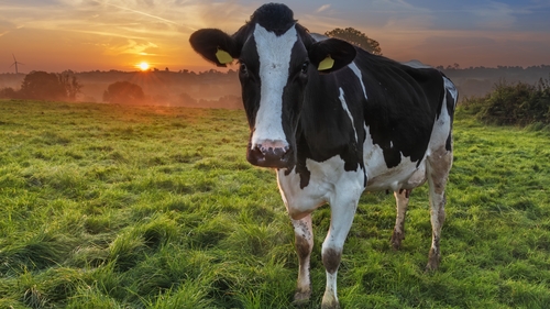 The EPA report says farm inspections are far below the level needed to drive compliance and improve water quality