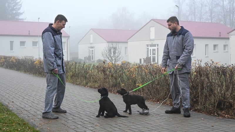 Prisoners Marek Kolar (R) and David Hejny are seen with 8 weeks old dog puppies named Zirkon and Zeus