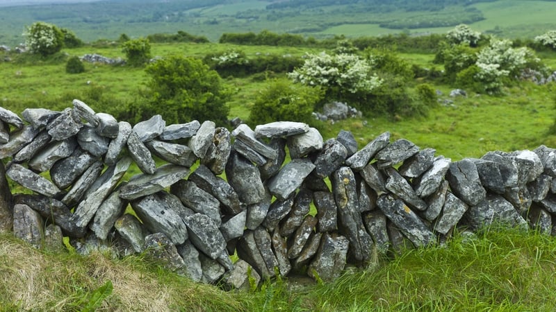 A traditional dry stone wall in landscape fields in The Burren, Co Clare