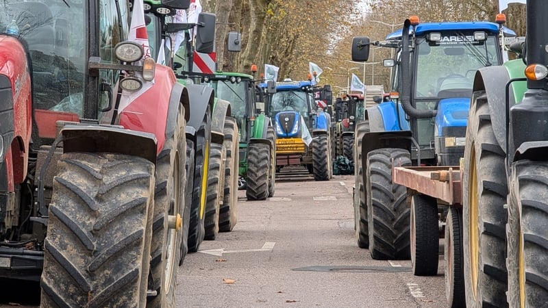 The potential Mercosur trade deal has drawn opposition from Europe's agricultural sector