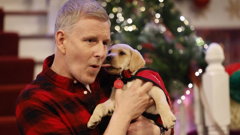 Patrick Kielty with Star, a puppy in training with Autism Assistance Dogs Ireland.
