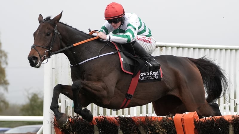 The Yellow Clay won the Grade Two Tote Navan Novice Hurdle with Sam Ewing in the plate