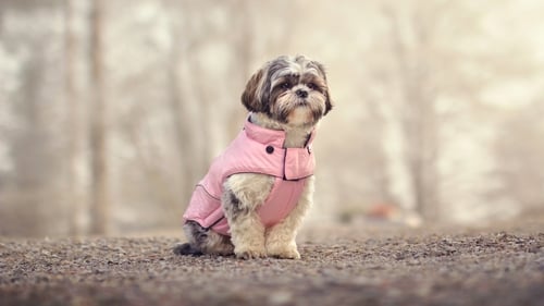 Pink is so you. Photo: Getty Images