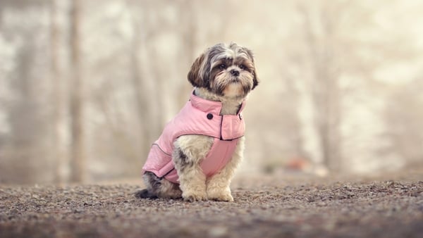 Pink is so you. Photo: Getty Images