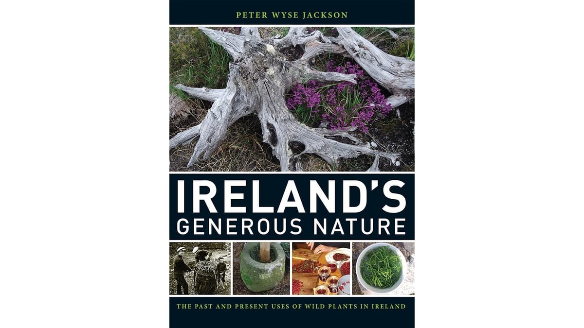 Ireland’s Generous Nature: The Past and Present Uses of Wild Plants in Ireland