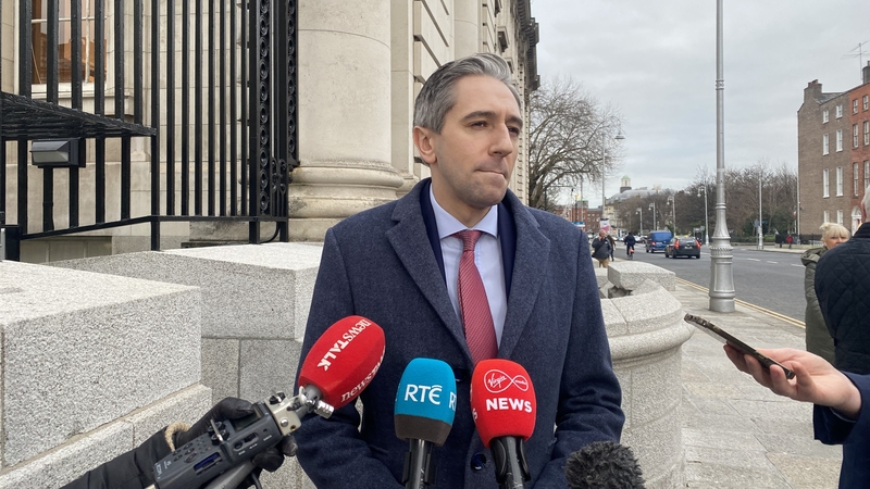 Simon Harris also reiterated a call for a lasting ceasefire (File image)