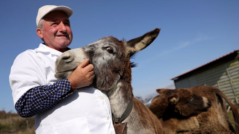Veiz Basha pictured with one of the family's donkeys which they milk to make one of the most expensive cheeses in the world