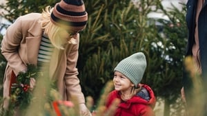 'Sí an Nollaig í' show image