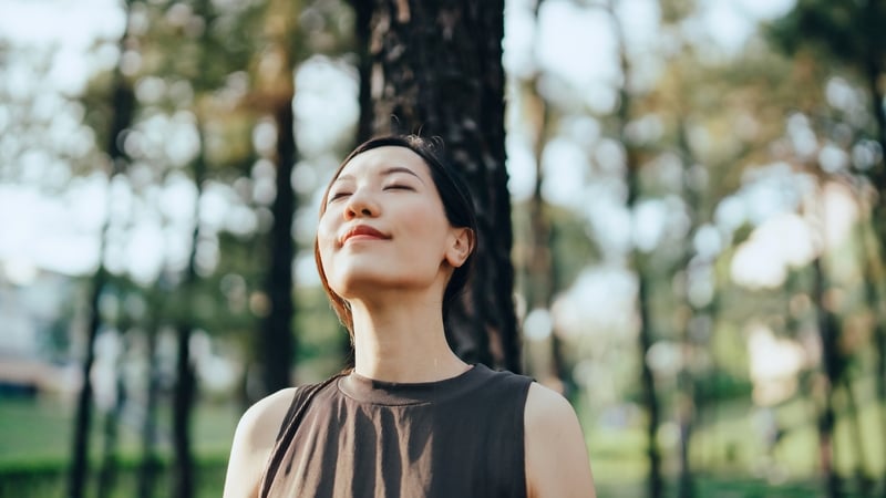 Highly sensitive people display higher levels of nature connectedness. Photo: Getty Images