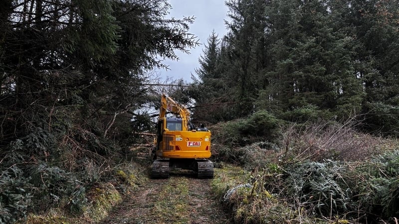 Over 60% of the windblown area has a felling licence, with a further 12% being processed by the Department