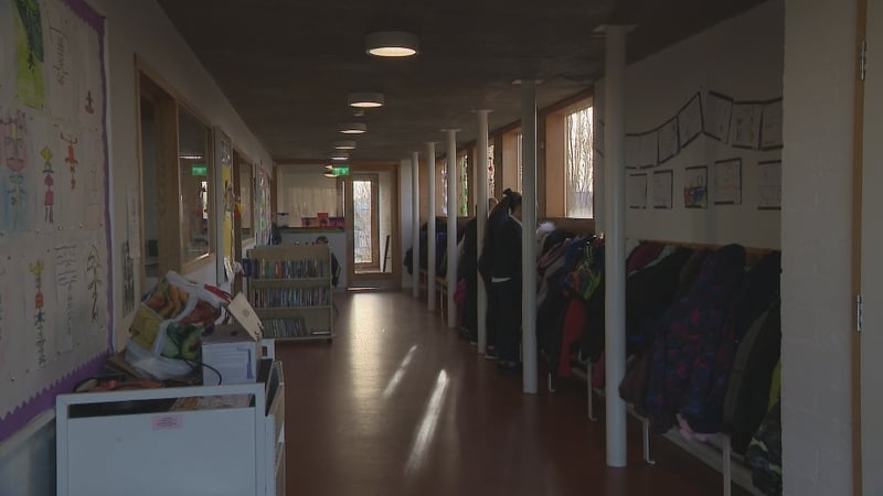 A more diverse teacher workforce is a strategic priority for the Teaching Council (file image)