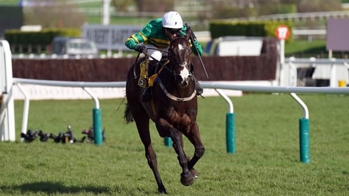 Majborough is the clear second-favourite for the Arkle Chase at the Cheltenham Festival