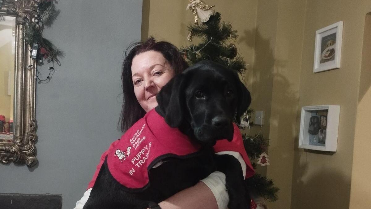 Meet the Limerick foster mammy for puppies