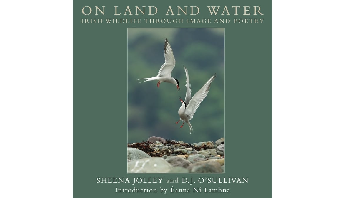 On Land and Water: the superb new book from wildlife photographer Sheena Jolley
