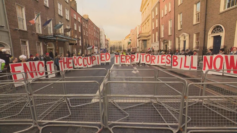 A protest held outside Leinster House late last year urging the Government to enact Senator Frances Black's legislation