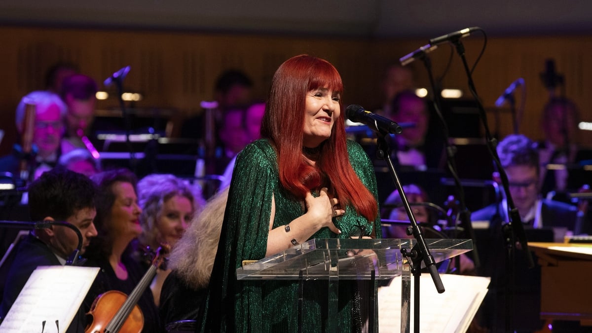 Saint Nick's in the Liberties, a poem by Rachael Hegarty