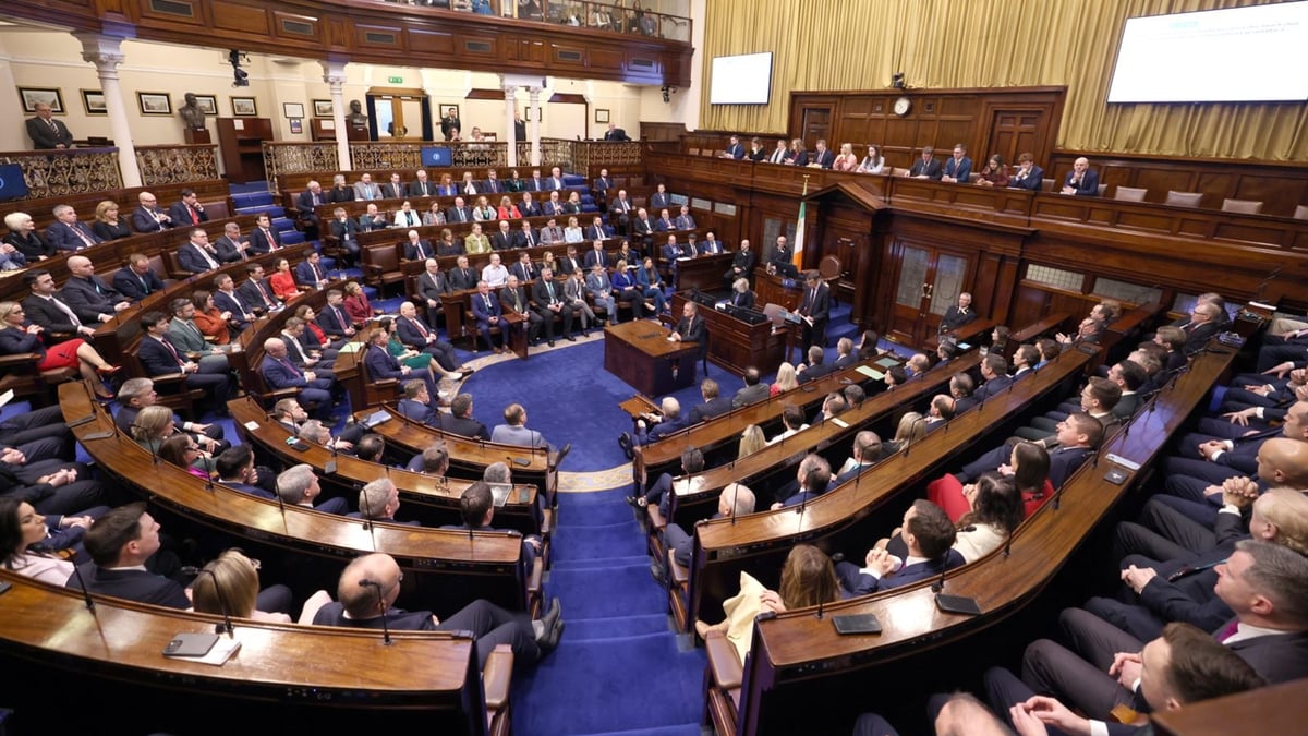 The highlights and the lowlights of the Dáil so far