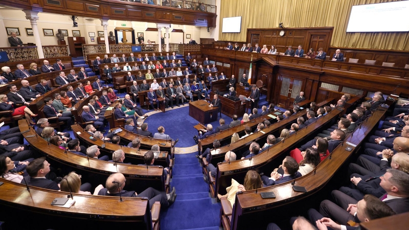 Two Independent deputies who normally support the Government, Barry Heneghan and Gillian Toole, voted against it again