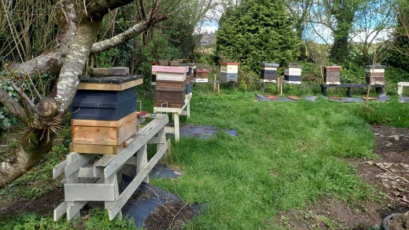 Bruce Copeland said he could not believe that two hives were stolen