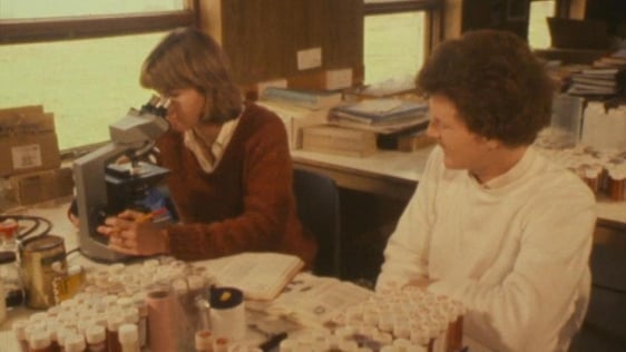 Sherkin Island Marine Station (1985)
