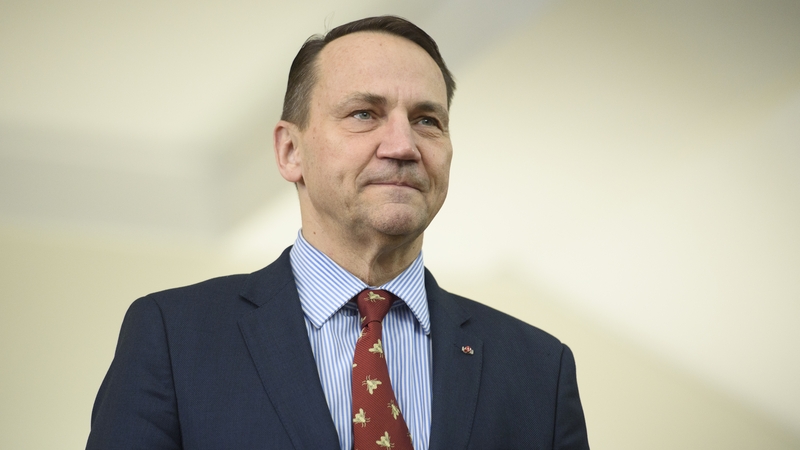 Polish foreign minister Radoslaw Sikorski said he considered the Hungarian government's decision to grant asylum to the former Polish deputy minister for justice to be a hostile act (file photo)