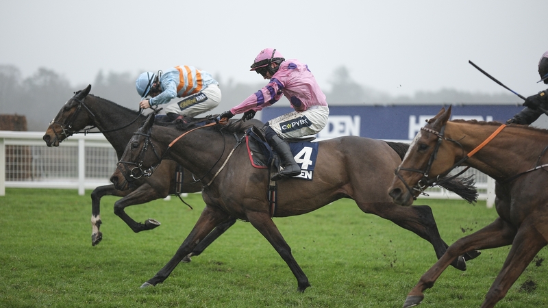 Crambo fell in the Stayers' Hurdle at Cheltenham last time out