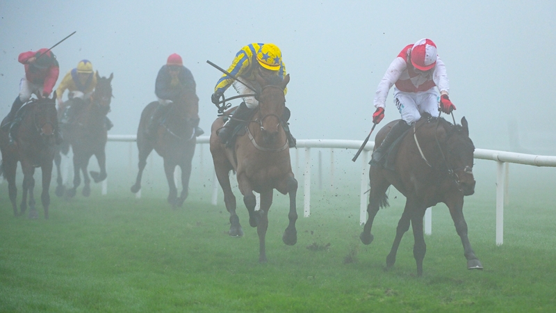 Hello Neighbour (red and white silks) head the Irish challenge in the Triumph Hurdle