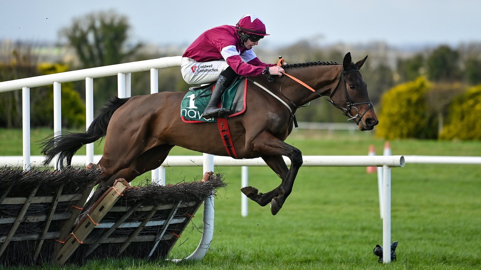 Brighterdaysahead set for Irish Champion Hurdle at DRF