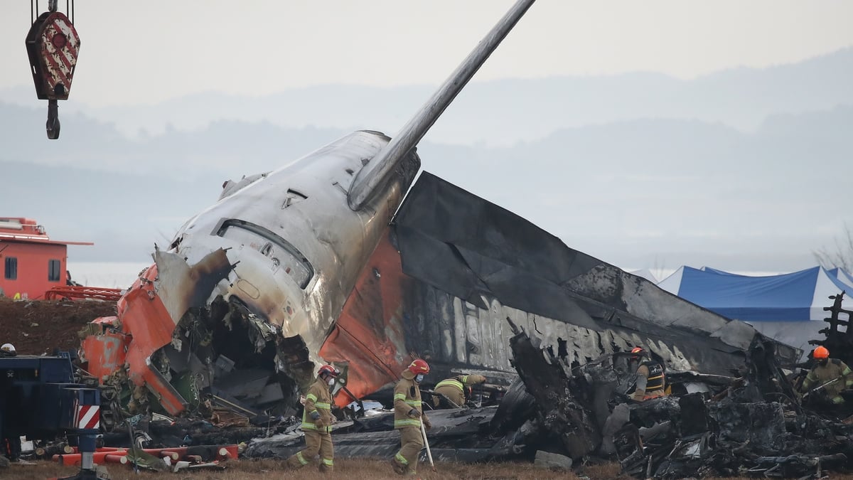 Review into concrete wall at South Korea airport after crash