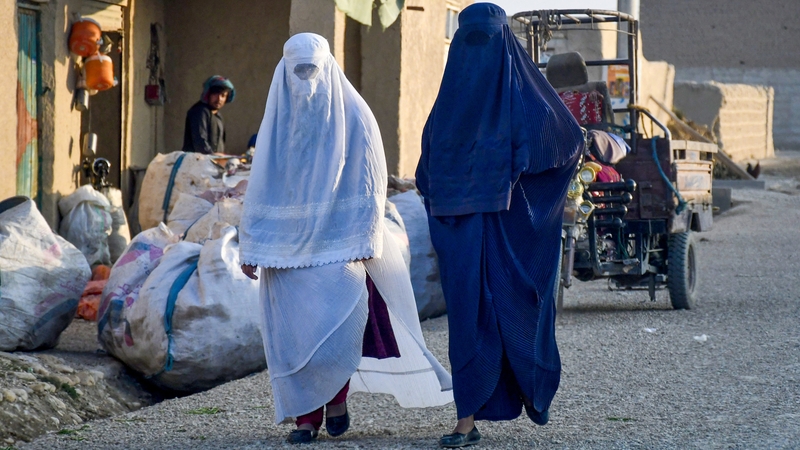 Since the Taliban's return to power, women have been progressively erased from public spaces