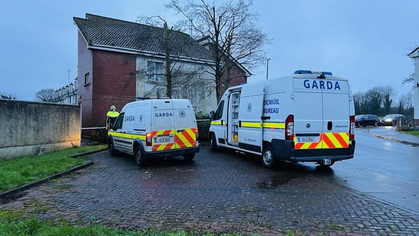 Gardaí at the scene in New Ross, Co Wexford