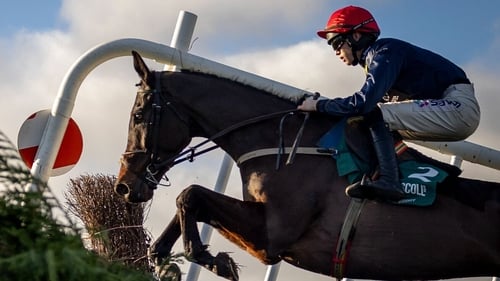 Embassy Gardens returned to action under Michael O'Sullivan as a 9-1 chance at Tramore