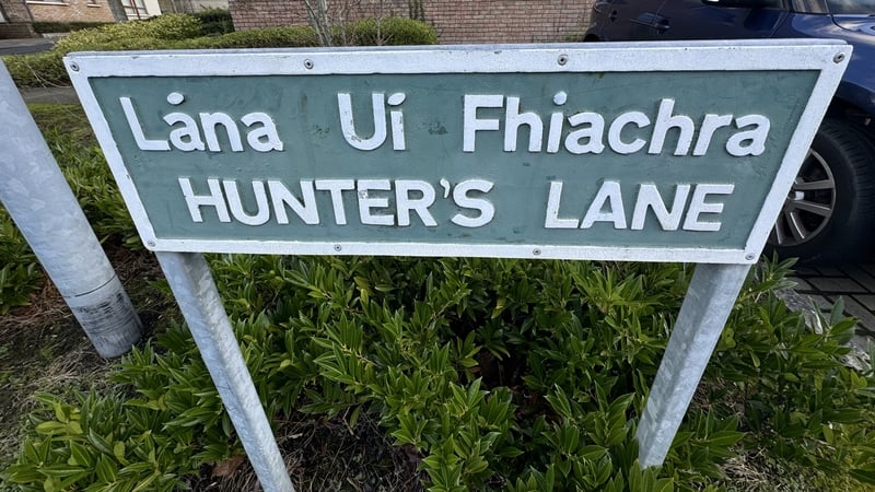 Gardaí and emergency services were called to Hunter's Lane, Ballycullen