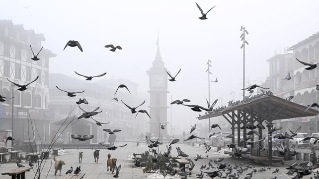 A flock of pigeons are seen amid dense fog on a cold winter morning at Lal Chowk in Srinagar, Kashmir