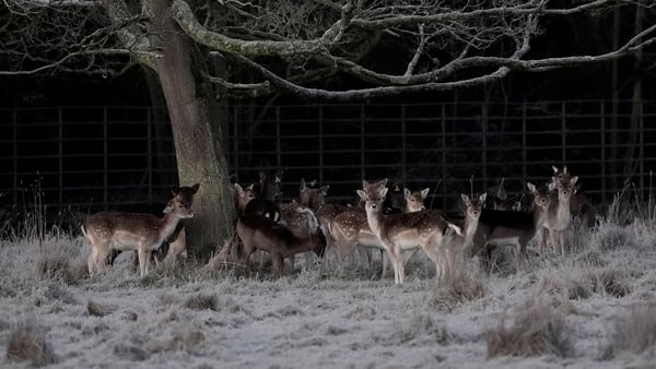 A cold winter day in the Phoenix Park but Irish winter temperatures have increased by about 0.9°C since 1950. Photo: PA