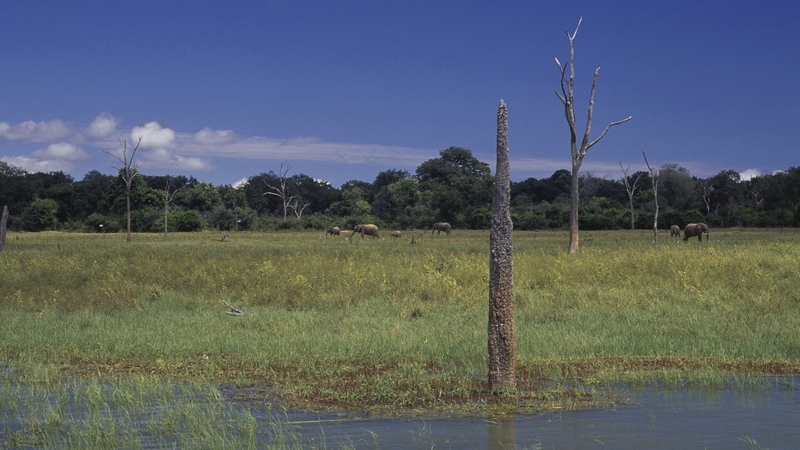 The boy wandered into the Matusadona National Park near Zimbabwe's Lake Kariba